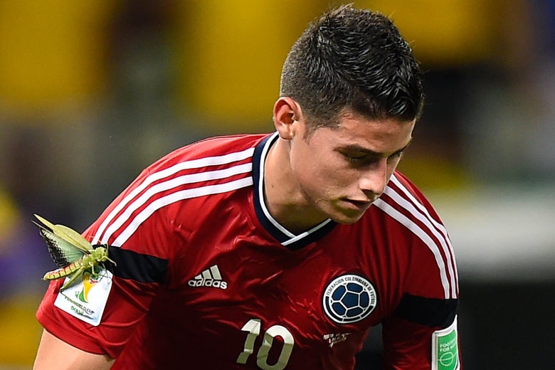 Colombia's midfielder James Rodriguez celebrates with a locust on his arm after scoring during the quarter-final football match between Brazil and Colombia at the Castelao Stadium in Fortaleza during the 2014 FIFA World Cup on July 4, 2014. AFP PHOTO / FABRICE COFFRINI / AFP PHOTO / Fabrice COFFRINI (Photo credit should read FABRICE COFFRINI/AFP/Getty Images)